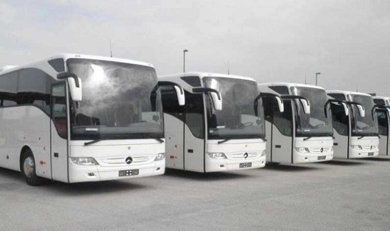 Sicily: Bus company in Catania in Catania and Italy