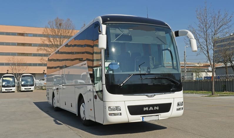 Italy: Buses operator in Calabria in Calabria and Italy